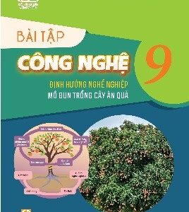 Bài tập Công nghệ 9 trồng cây ăn quả - KNTT
