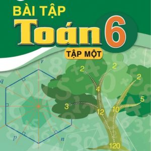 Bài tập Toán 6/1 - CD