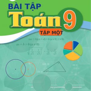 Bài tập Toán 9/1 - CD